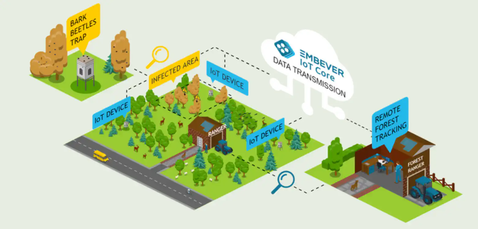 Witasek’s IoT-Based Forest Protection